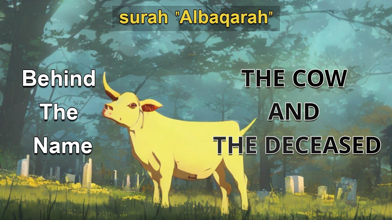 why surah "Albaqarah" named such name?